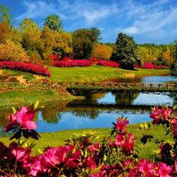 Beautiful Garden Lake