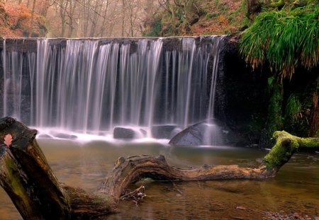 beautiful autumn waterfall - autumn, pool, stump, watefall