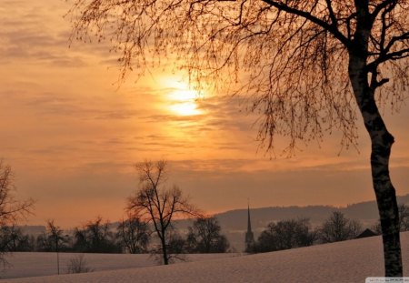 beautiful winter sunset landscape - winter, tree, sunset, steeple