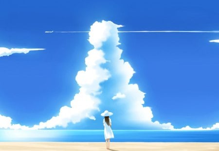 A summer day - clouds, airplane, skies, water, summer, beach, girl