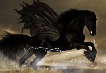 Black fantasy horse - wings, black, horse, fantasy