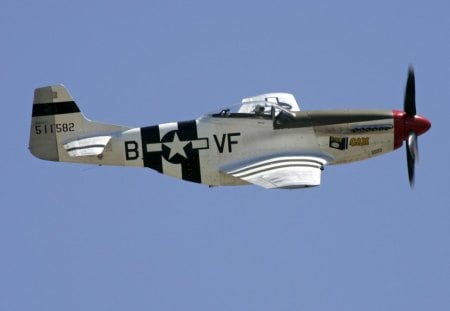 P51 Mustang - Spam Can - airplane, war, p51, mustange, plane, american, ww2, old, p-51, wwii, fighter, can, spam, north, world, vintage, classic, antique