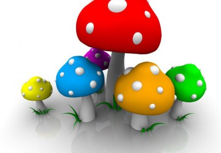 Colorful Mushroom - colorful, nice, mushroom, best