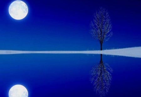 Reflection - moon, tree, reflection, blue