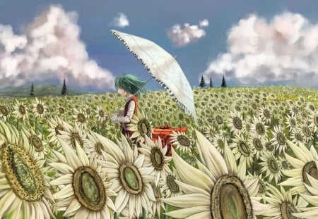 In a field of sunflower - anime, sunflowers, field, green hair