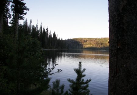 Peaceful Evening - calm, evening, lake, forest, idaho