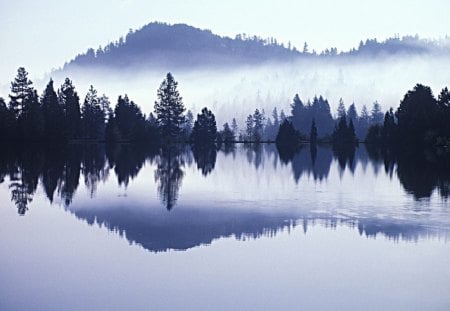 Winter Lake - snow, lake, winter, water