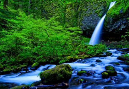 Forest waterfall - summer, creek, bushes, stream, forest, nice, falling, greenery, trees, water, beautiful, lovely, fall, river, nature, waterfall, green