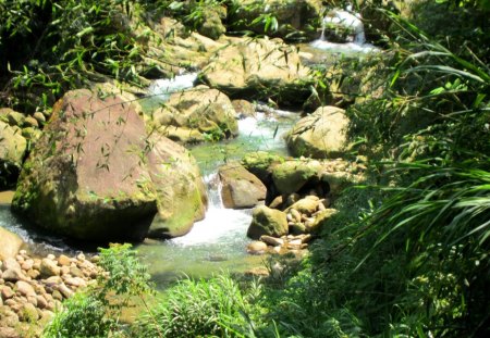 Stream valley - plants, stream valley, grasses, rocks