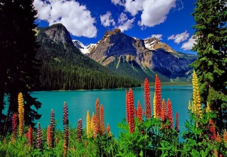 Clouds over the mountain - lakeshore, nice, sky, riverbank, water, colorful, mountains, mountainscape, pretty, reflection, emerald, river, clouds, lake, mountain, summer, shore, peaks, lovely, slopes, nature, blue, beautiful, flowers