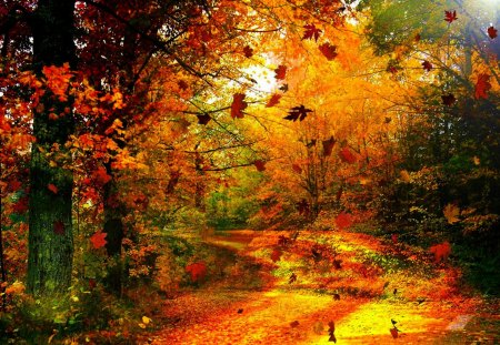 AUTUMN WIND - Forests & Nature Background Wallpapers on Desktop Nexus ...