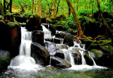 FOREST CASCADE - rock, waterfalls, forest, cascade