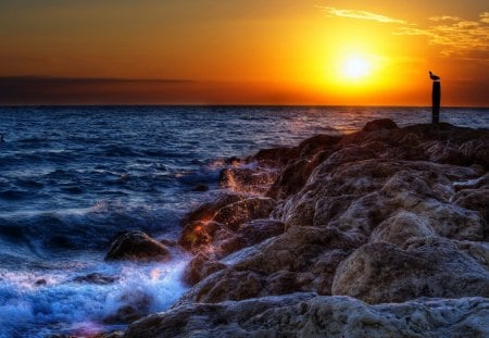 Sunset - rock, bird, sunset, sea, nature