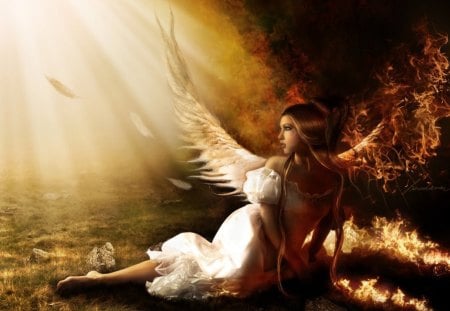 Angel - white, wings, fantasy, angel