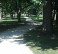 A Walk In The Park