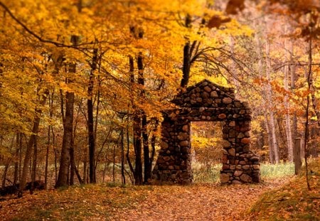 Autumn Colors - leaves, nature, orange, yellow