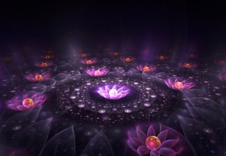 Lotus Of Light - purple, flowers, lights, pink