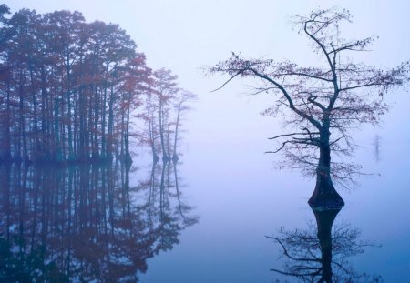 REFLEXO NO LAGO - arvores, lago, azul, natureza