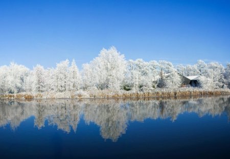 REFLEXO NO LAGO AZUL - natureza, arvores, lago, azul, neve