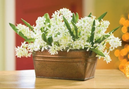 Holiday - metal pot, tiny, flowers, fresh, white, nature, lights, green, arrangement