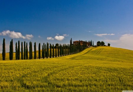 Italian Countryside - fields, sky, italy, landscape, hills, countryside, grass