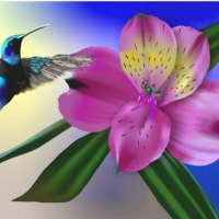 Humming bird and orchid - for Sherry Ann