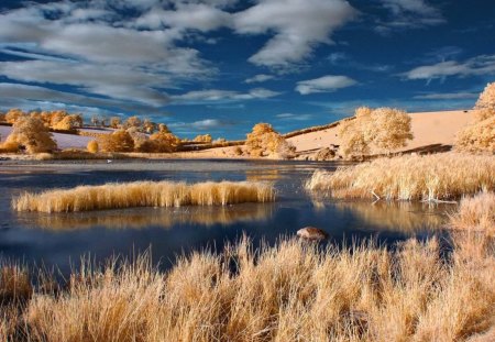 The Marsh ~ All Tan Color - marsh, grass, water, nature