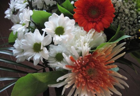 Bouquet of flowers 57 - flowers, white, red, green, Daisy