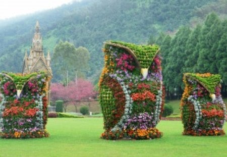 *** Owls of flowers *** - flowers, color, nature, green