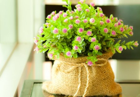 Flowers in a sack - flower, still life, bow, sack