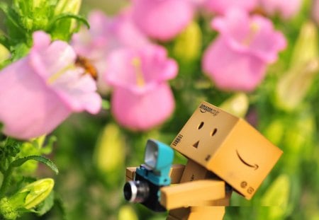 Danbo taking pictures - danbo, flowers, cute, camera