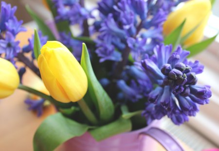 Precious Spring - tulips, spring, nature, purple, pitcher, yellow, pink, flowers, hyacinth