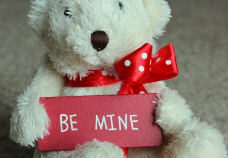 A sweet request... - red, animals, be mine, bears, sweet, love, forever, white, toy, ribbon, bow, request, lovely