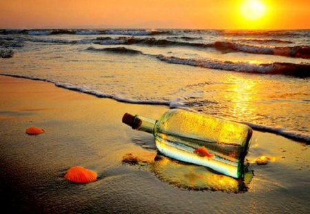 Fish in a bottle - bottle, nature, beach, seasunset, fish