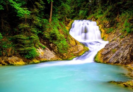 FOREST RIVER FALLS - nature, falls, forest, river, summer