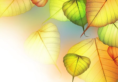 Transparency - yellow, bright colors, leaf, texture, art, leaves