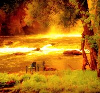 GOLDEN NATURE