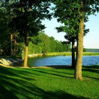 Beautiful Lake, Green Grass & Trees