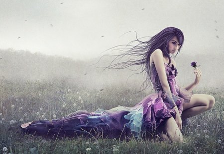 Violet - girl, violet, field, flower