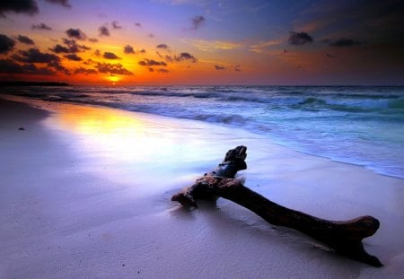 AN EVENING on the BEACH - beach, snag, sea, night, ocean, sand, sky