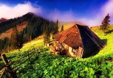 Tumbledown mountain house - lonely, hills, summer, cabin, abandoned, mountain, view, field, hut, cottage, sky, forgotten, clouds, house, greenery, colors, fence, wooden, nature, green, tumbledown