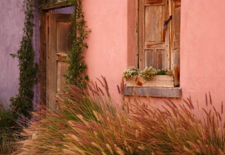 Little Country Home - window, plaster, weeds, pink, daylight, architecture, flowers, door, nature, purple, hoouse, cement, day