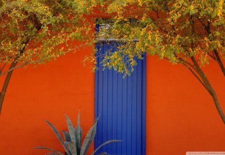 blue door in barrio district in tucson az - door, blue, orange, tree, wall