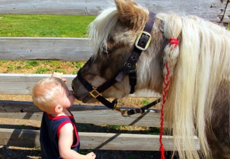 A MAN AND HIS HORSE - love, shetland ponies, tenderness, ponies, kids, kisses, horses, children, adoration, sweetness