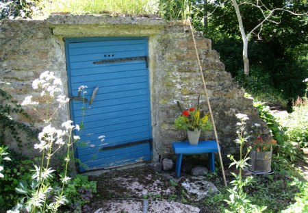 Earth Cellar - flowers, door, blue, tree, stones, cellar