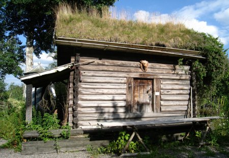 Old House - house, roof, grass, horse, sky