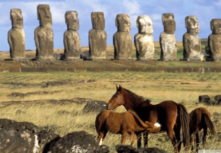 horses of easter island chile - horses, colt, statues, stones, grass