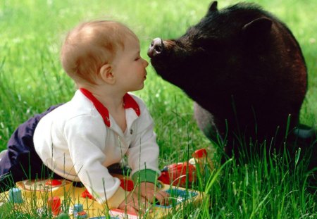 Baby and Pig