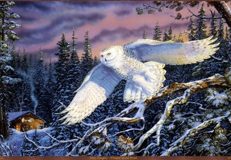 WHISPER ON THE WIND - owl, white, wind, snow, whisper