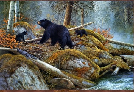 A HIDDEN WORLD - mother, cubs, black, bear